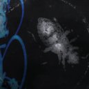 Monty - BUG (Original Mix)