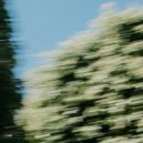 Holen, Jarod Glawe - Drift