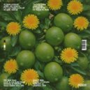 The Lone Soldier - Raised On Music (Original Mix)