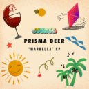 Prisma Deer - Right Place (Original Mix)