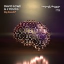 David Lowe - The Drums