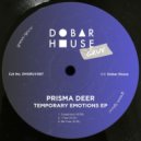 Prisma Deer - I Feel (Original Mix)