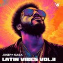 Joseph Gaex - Papasito (Original Mix)