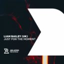 Liam Bailey (UK) - Just For The Moment (Original Mix)