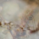 APS - Instatic (Original Mix)