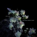 Mind Against, Anakim, HUMAN404 - Late At Night (Extended Mix)