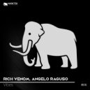Rich Venom, Angelo Raguso - Vibes (Original Mix)