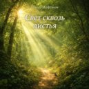 Tlmur Miftakhov - Свет между ветвей