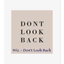 Wiz - Don\'t Look Back (Organic / Afro)