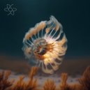 Tunes For My Wife - Out Of Place