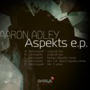 Aaron Adley - Introspekt (M.I.T.A. Black Mamba Remix)