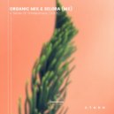 Organic Mix & Selora (MX) - Clouds (Original Mix)