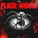 VOLB3X - Black Widow (Original Mix)