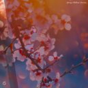 Ace Of Duty - Dressed in Light