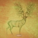 Camoflash - Space Sonica (Original Mix)