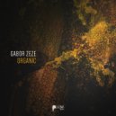 Gabor ZEZE - Flow
