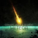 Concept Vision & Segment - Meteor
