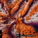 Alchemy Circle - Analog Behavior