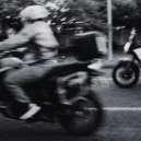 Junior Simba, Bouvier - Papi (Extended)