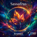 Stoned Entertainment - Into the light (Original Mix)