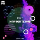HrvY - Do You Know The Sound (Original Mix)
