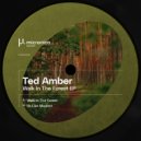 Ted Amber - Its Like Modest (Original Mix)