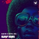 David Cueto (ES) - Safari (Original Mix)