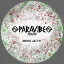 Cora M - Living Void (Original Mix)