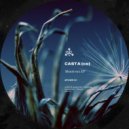 Casta (co) - Qui Mijoo (Original Mix)