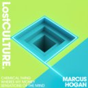Marcus Hogan - Sensations Of The Mind (Original Mix)