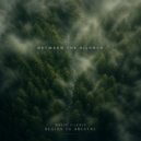 Between The Silence - The Edge of Sleep (Original Mix)