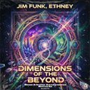 Jim Funk - Beauty in the Breaks (Original Mix)