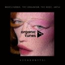 Morelyubovi, The Organism, The Kode, ANTAI - Vechornytsi (Original Mix)