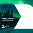 Cristian Arcip - Aurora Rising (Original Mix)