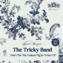 The Tricky Band - Kids Will Be Kids (Original Mix)