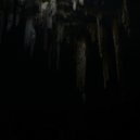 Niño Árbol - Estratosfera