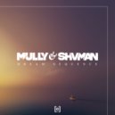 Mully & Shvman with Maml - Frequency (Original Mix)