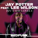 Jay Potter & Lee Wilson - Isn\'t She Lovely (Radio Edit)