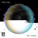 Tampla Prod. - Dark Symphony (Original Mix)