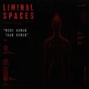 Liminal Spaces - Voight-Kampff ()