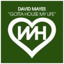 David Mayes - Gotta House My Life