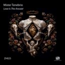 Mister Tenebrio - Love Is The Answer (Original Mix)