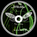 Daniel Jaze & Luca Arcangeli - Wonder (Original Mix)
